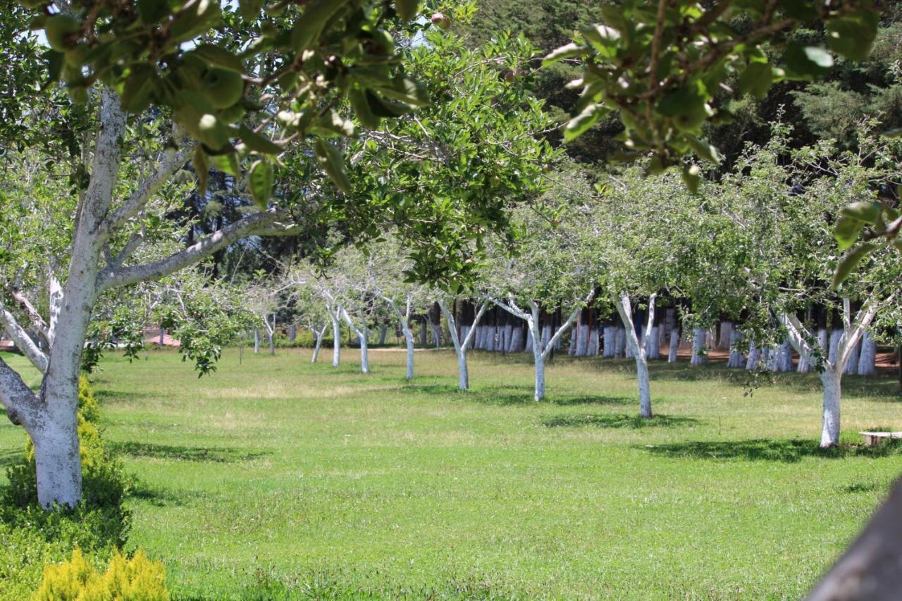 Cabanas Rancho El Mayab Zacatlán المظهر الخارجي الصورة