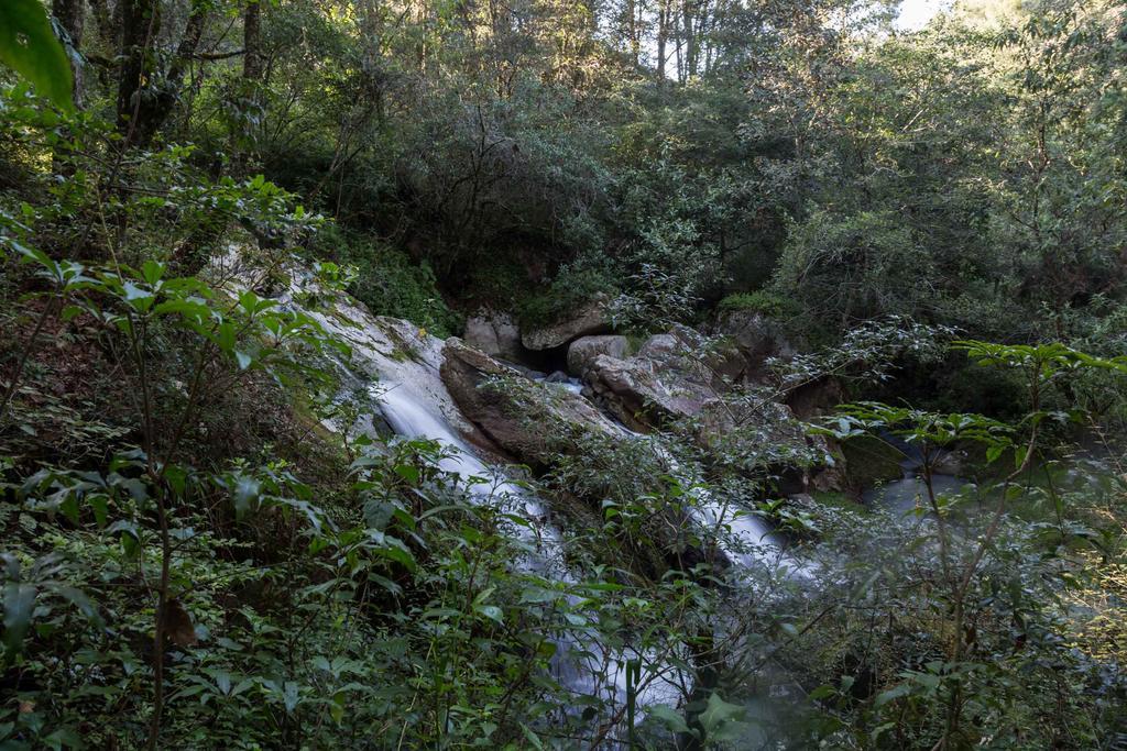 Cabanas Rancho El Mayab Zacatlán المظهر الخارجي الصورة