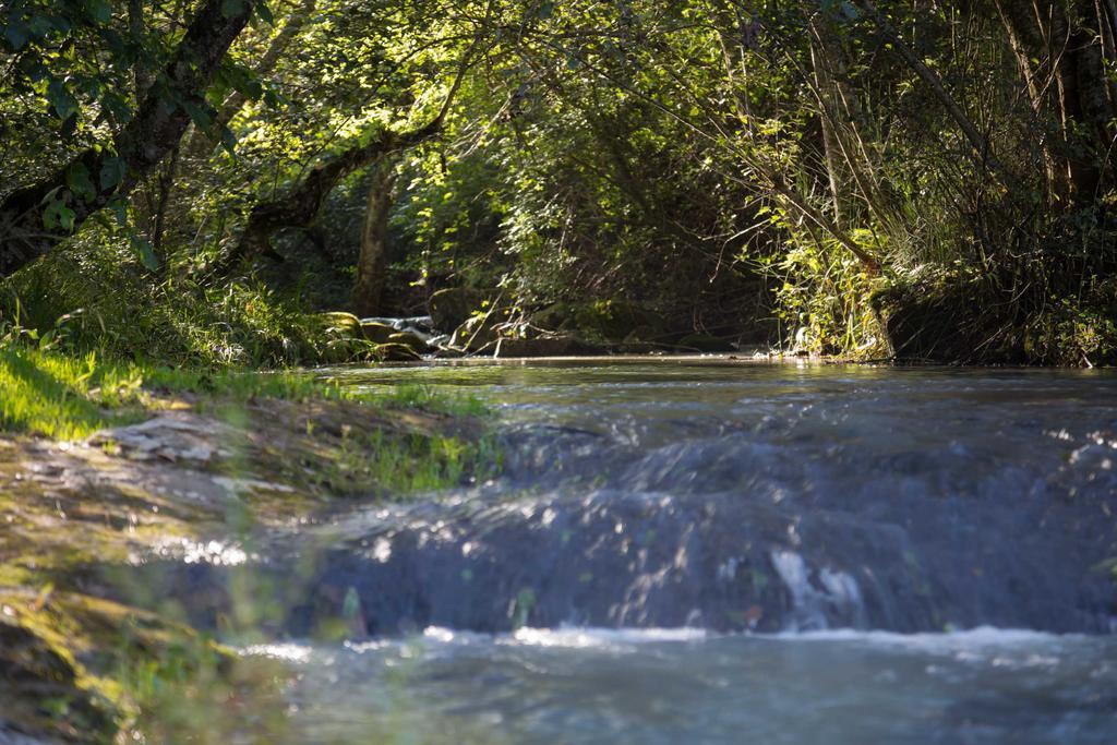 Cabanas Rancho El Mayab Zacatlán المظهر الخارجي الصورة